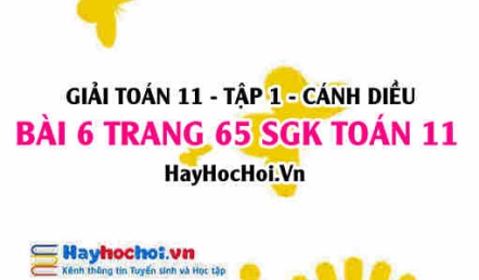 Giải bài 6 trang 65 Toán 11 tập 1 SGK Cánh Diều